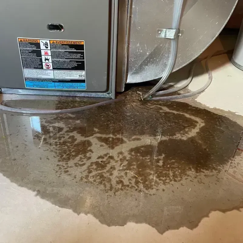 Appliance Leak Cleanup in Jefferson County, IL